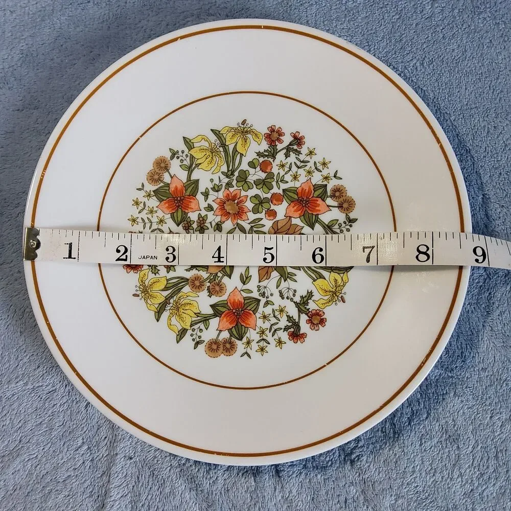 Vintage Corelle Indian Summer Luncheon Plate 8.75